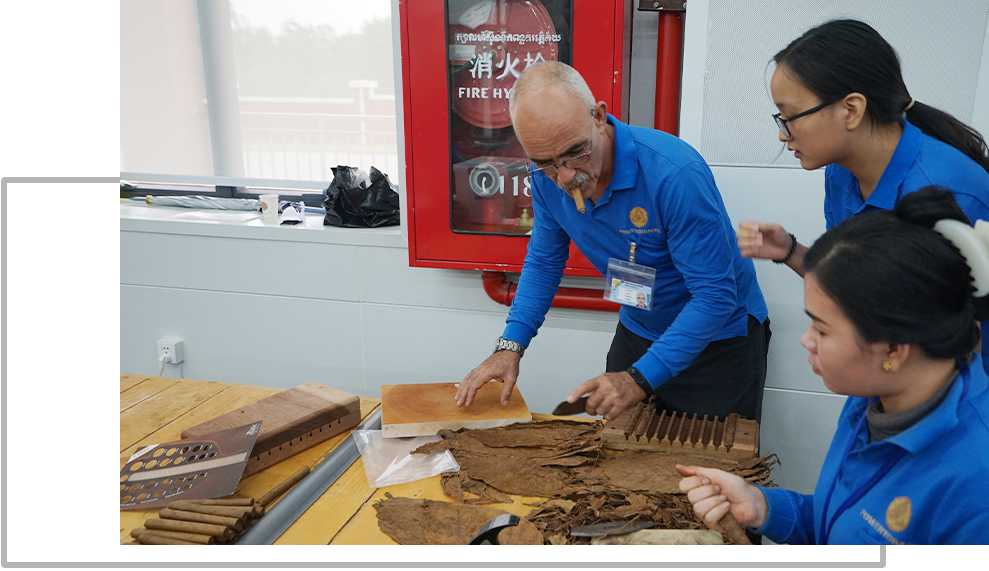 junlipinpaizhuantiye_03