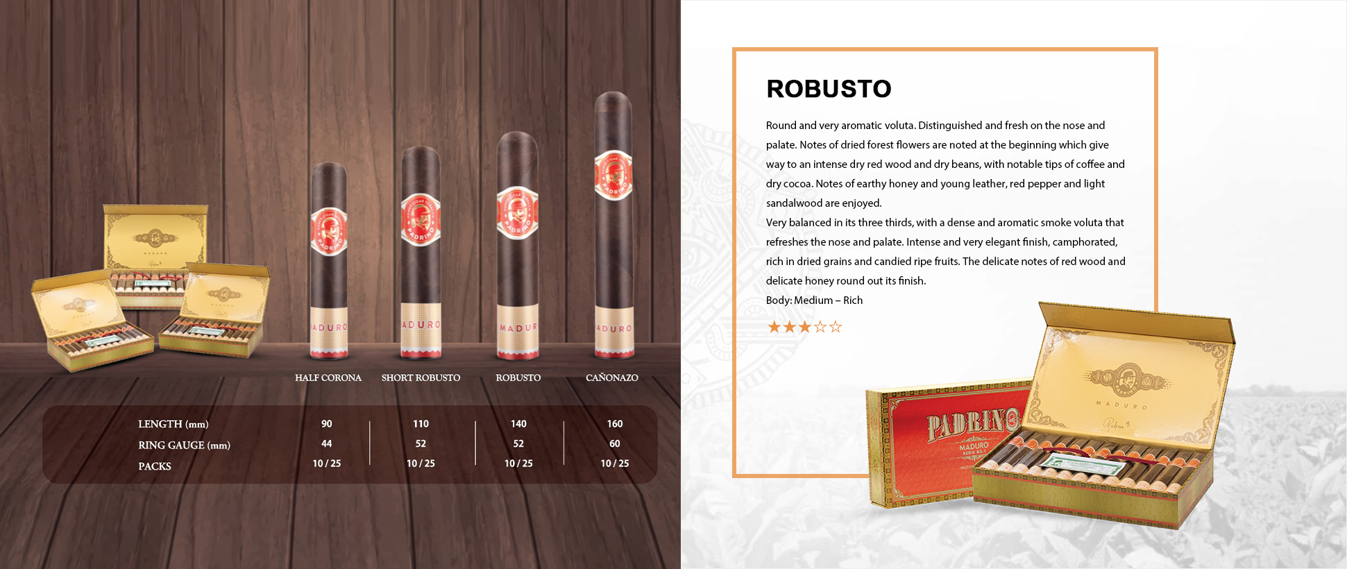 ROBUSTO