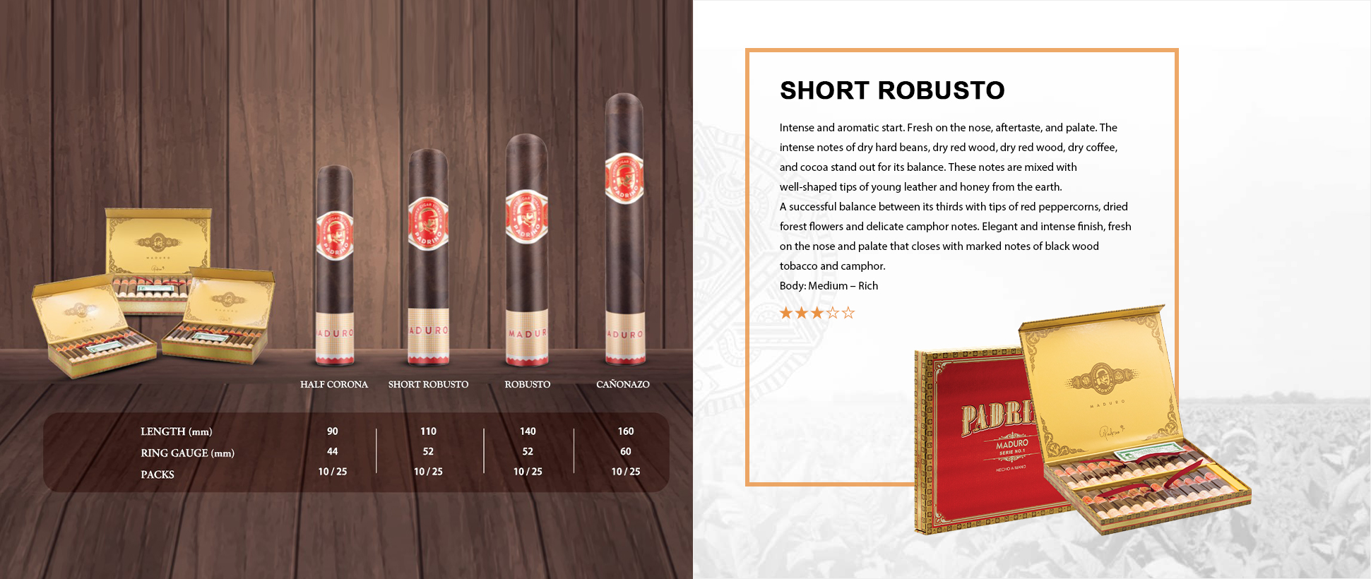 SHORT ROBUSTO